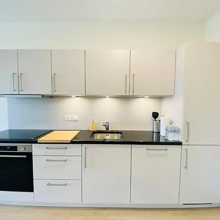 Luxury 2023 Flat In Center- Hol 1 아파트